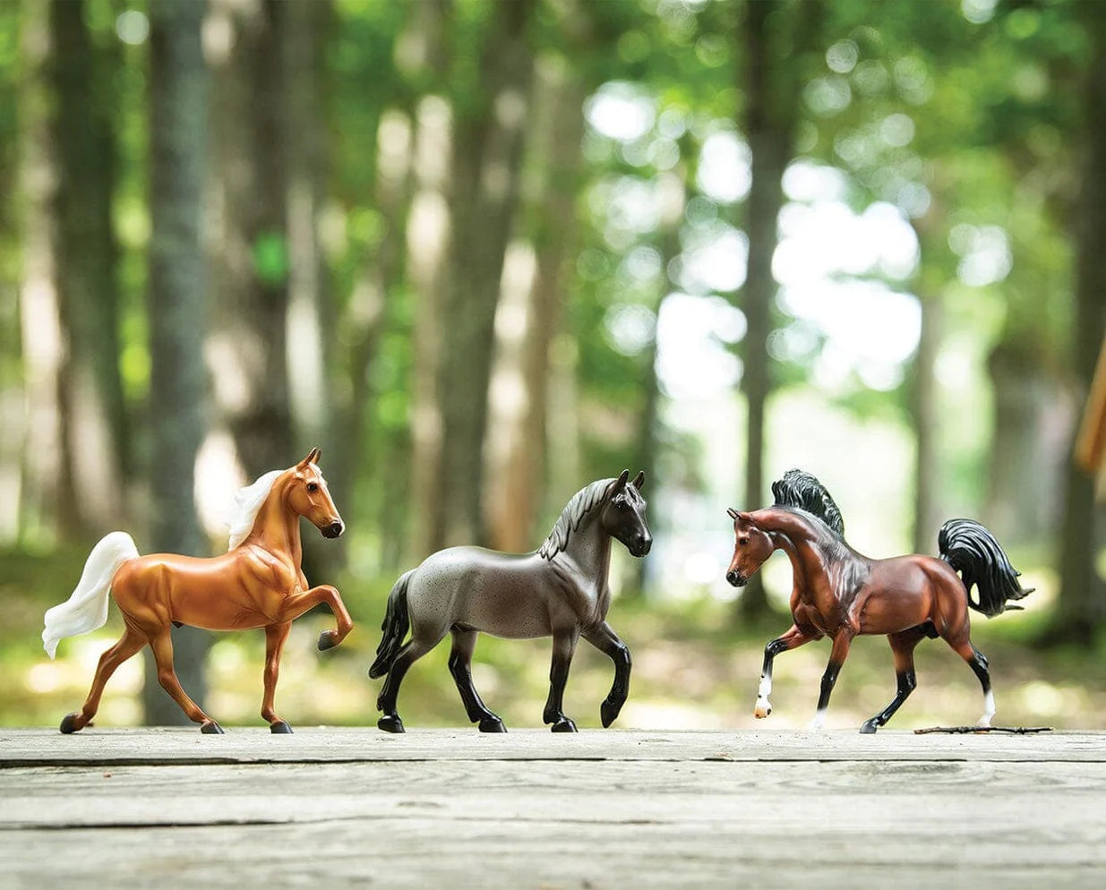 Palomino Saddlebred