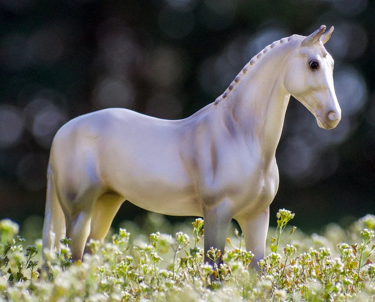 Pearly Grey Trakehner