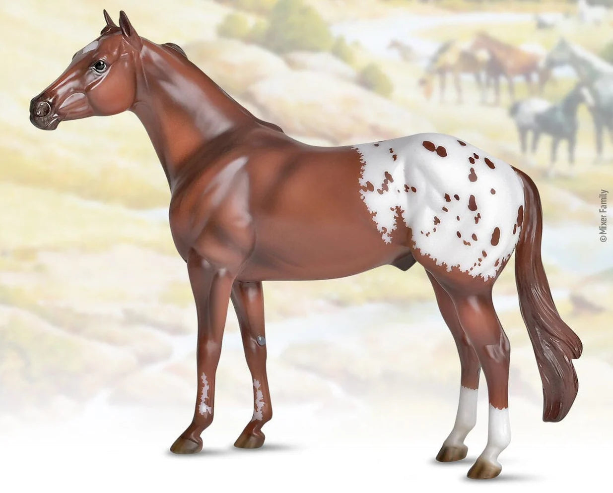 The Ideal Series - Appaloosa