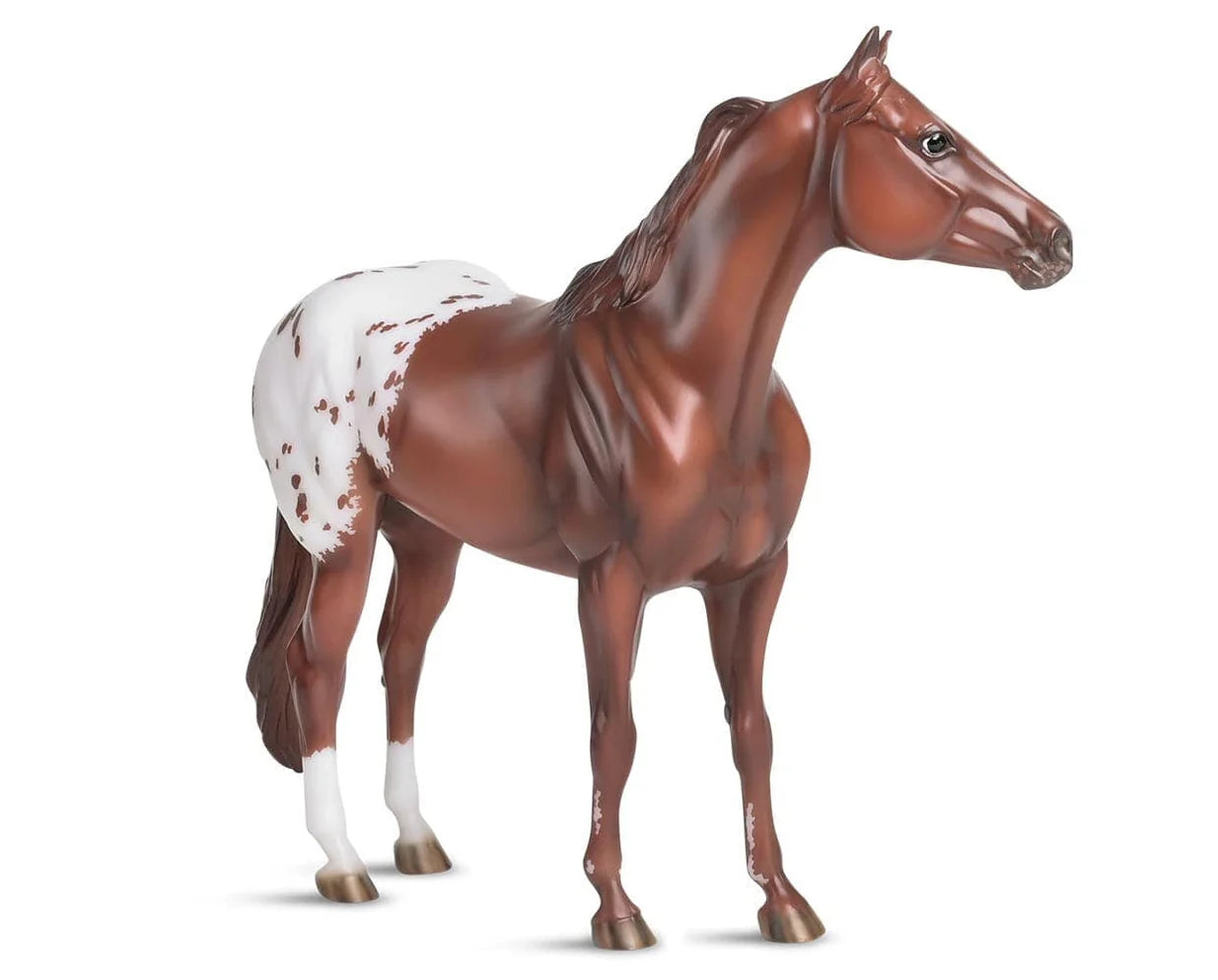 The Ideal Series - Appaloosa