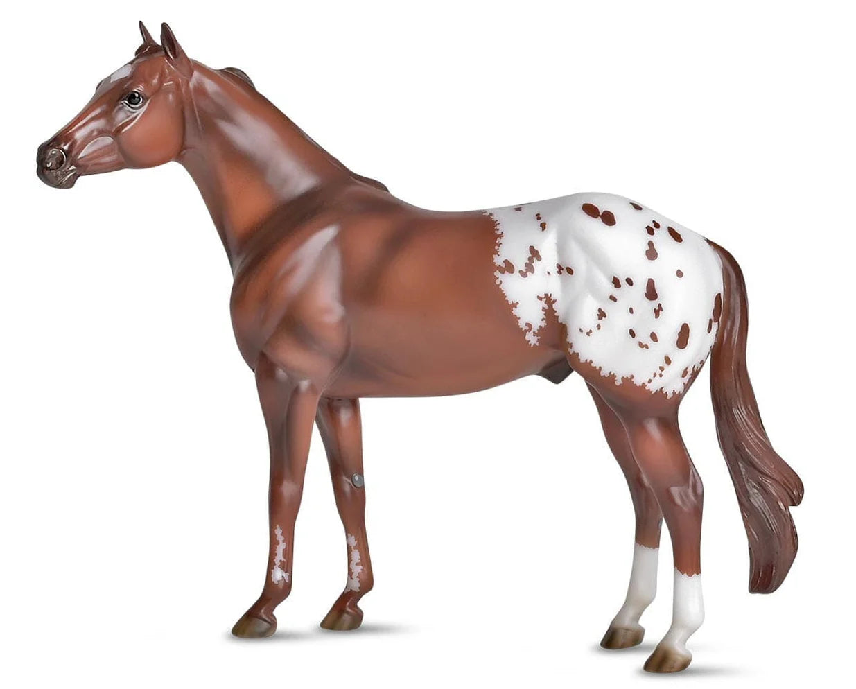 The Ideal Series - Appaloosa