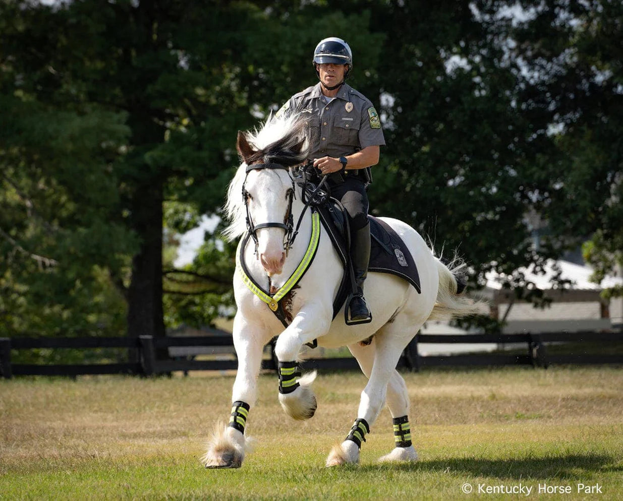 Hytyme Legend | KHP Mounted Police Horse