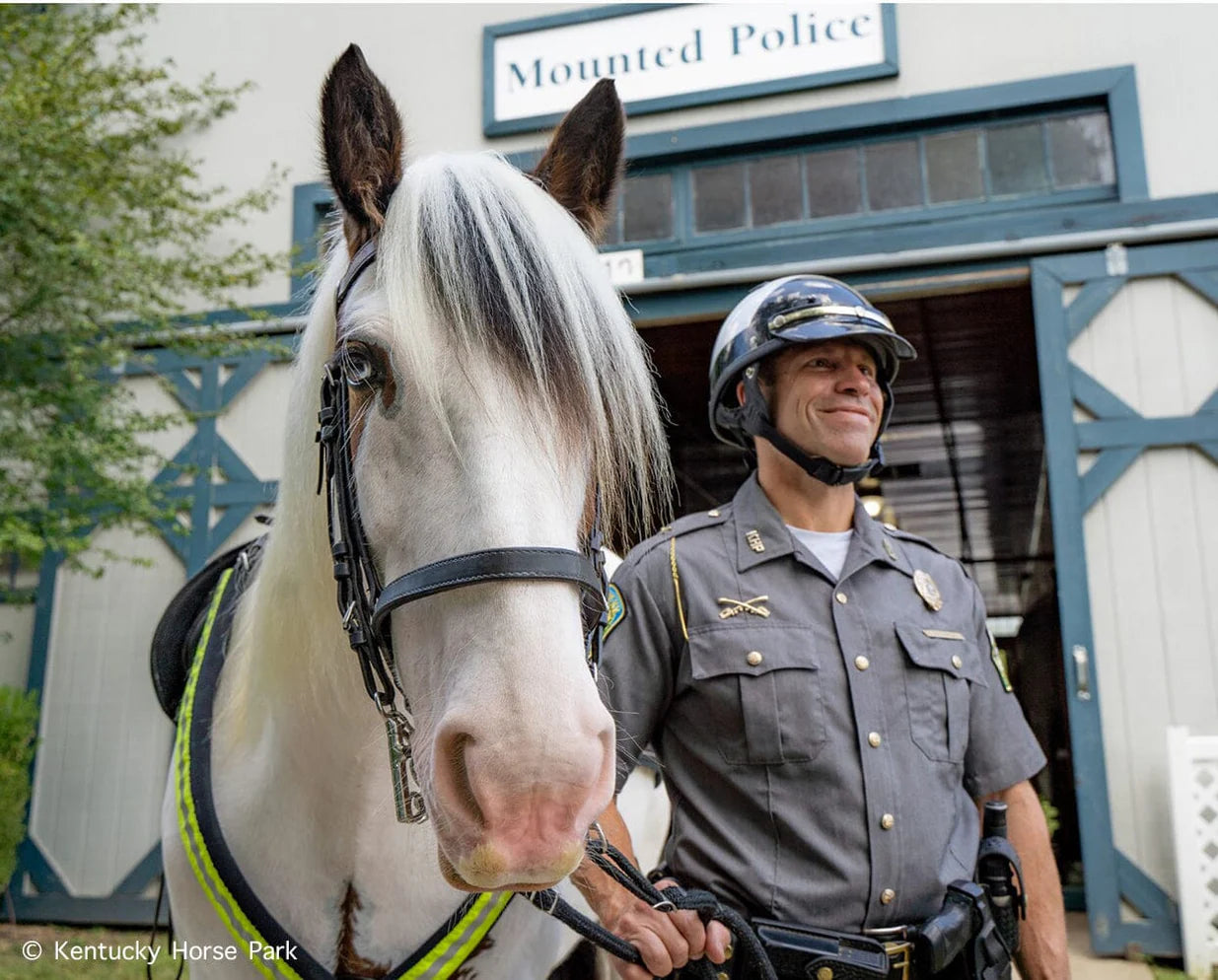 Hytyme Legend | KHP Mounted Police Horse